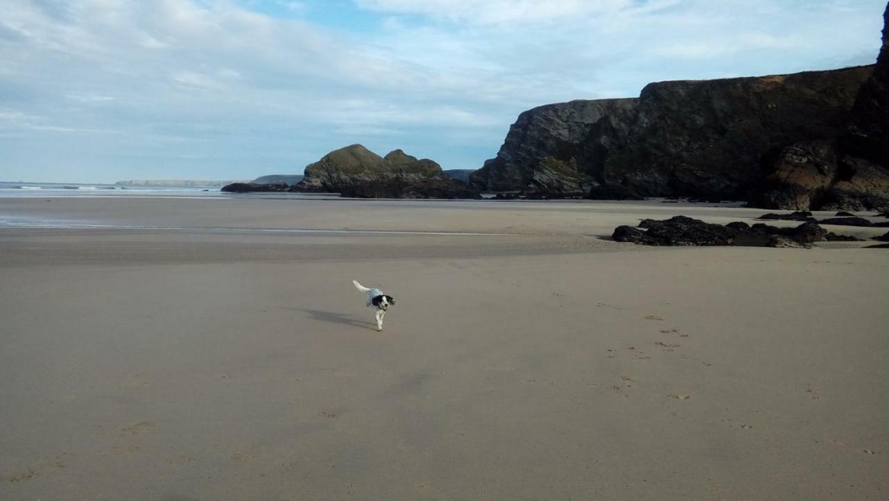 Newquay Bay Parque de vacaciones 2*